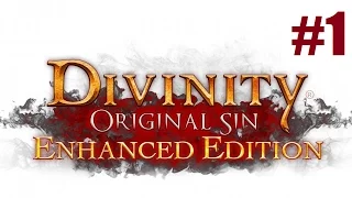 Divinity: Original Sin [Кооператив] #1