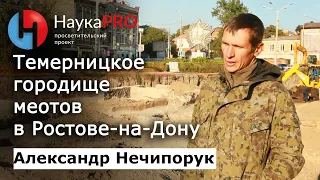 Раскопки Темерницкого городища меотов в Ростове-на-Дону – археолог Александр Нечипорук | Научпоп