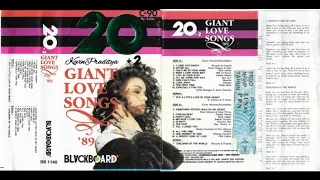 20+2 GIANT LOVE SONGS '89