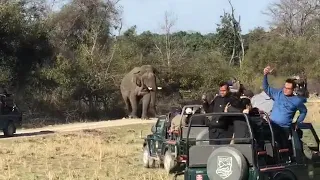 Tusker Attack on Gypsy Jim Corbett National Park