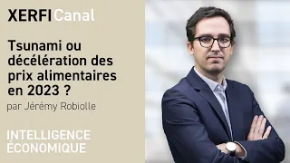 Tsunami ou décélération des prix alimentaires en 2023 ? [Jérémy Robiolle]