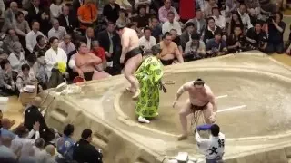 Yokozuna Hakuho (10-2) - Ozeki Goeido (7-5) , Sumo : Natsubasho '15