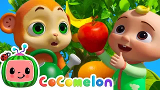 Grow Grow Grow Your Fruit | CoComelon JJ's Animal Time | Animal Lullabies for Kids