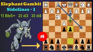 Tricky Elephant Gambit - 6 (Sidelines Bb5-d3-d4)