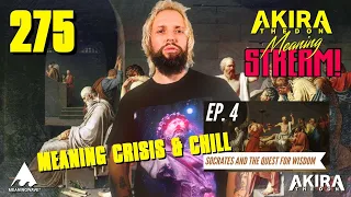 MEANING CRISIS & CHILL 4: Socrates and the Quest for Wisdom ft John Vervaeke 📹  MEANING STREAM 275