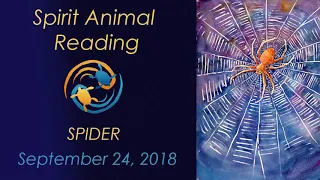 Spirit Animal Reading 9/24/18 (Spider meaning)