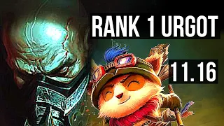 URGOT vs TEEMO (TOP) | Rank 1 Urgot, 5/1/3 | NA Challenger | v11.16