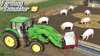 Hodowla świń - Farming Simulator 19 | #32