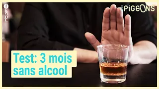 3 mois sans alcool : quel impact sur la santé ? - On n'est pas des Pigeons