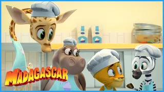 Cupcake mess! | DreamWorks Madagascar