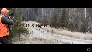 Hirvisyksy 2016 / Moose hunting