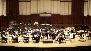 2013-05-05 Detroit Symphony Civic String Ensemble Allegro - Civic Family Experience III