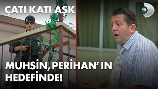 Muhsin, Perihan'ın hedefinde! - Çatı Katı Aşk 12.Bölüm