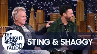 Sting Met Shaggy After He Wandered Onstage During "Roxanne"