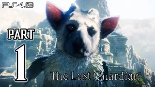 The Last Guardian Walkthrough PART 1 (PS4 Pro) No Commentary Gameplay @ 1080p HD ✔