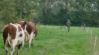 1 JOUR A LA FERME avec un éleveur laitier