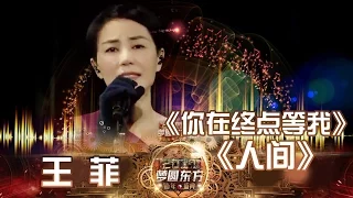 东方卫视2017跨年盛典：王菲《你在终点等我》《人间》【东方卫视官方高清】