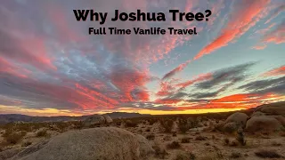 Why Joshua Tree? Full Time Vanlife Travel