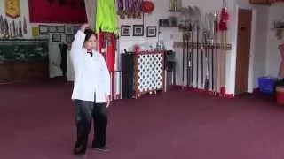 Kung Fu POD Episode 10: Rooting and improving your kung fu stance with Sifu Mai Du Part 1