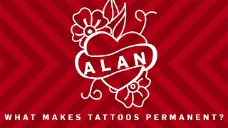 What Makes Tattoos Permanent? | Earth Science