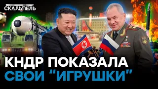 Путин послал Шойгу с протянутой рукой в КНДР! Поделится ли Ким Чен Ын оружием? | Скальпель