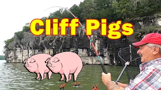 Cliff Pigs, Catching a pair of TROPHY Catfish