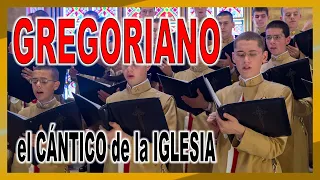 🎵 Gregoriano Heraldos del Evangelio / Arautos de Evangelho /musica para relajar / musica tranquila🎵