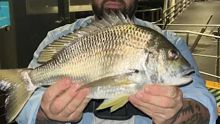 Sydney fishing with aka big bream