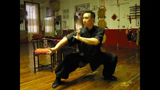 18 Buddha hands (Tiger Claw) Sifu Tak Wah Eng #soundsofkungfu