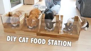 I built a custom cat feeding station