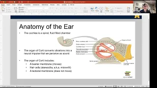 Ear Pt. 1