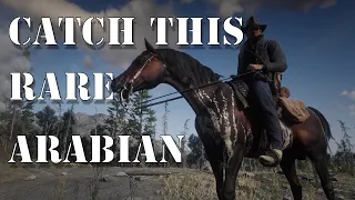 HOW TO GET THE WARPED BRINDLE ARABIAN HORSE. Red Dead Redemption 2.
