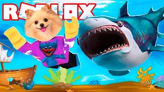 Я АКУЛА туруруруру В РОБЛОКС | ГИГАНТСКАЯ АКУЛА СЪЕЛА МОЙ КАТЕР ! ROBLOX