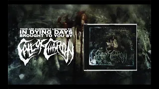 Call of Charon - In Dying Days (As Blood Runs Black Cover)