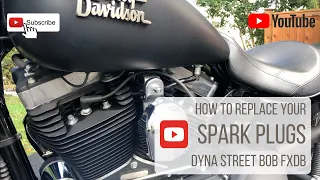 How To | Replace Your Spark Plugs | Harley Davidson Street Bob FXDB