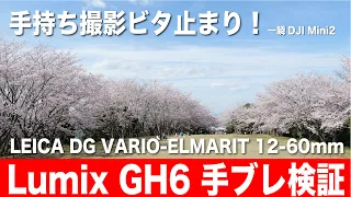 Lumix GH6　ビタ止まり！手ブレ検証　LEICA DG VARIO-ELMARIT 12-60mm　4K