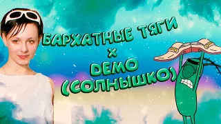 БАРХАТНЫЕ ТЯГИ x DEMO - СОЛНЫШКО (MASHUP BY ПРИТОРНЫЙ СУСЛИК)