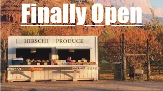 First Harvest of the Season, Opening the Roadside Stand!!