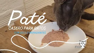 Paté casero para gatos con solo 2 ingredientes.