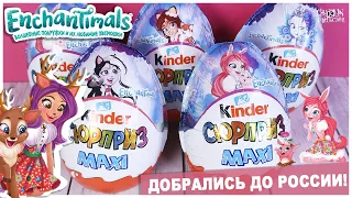 Киндер ☘️Enchantimals☘️ теперь и в России! Kinder MAXI Сюрприз | НОВИНКА 2020