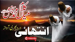 New Super Hit Kalam Mian Muhammad Bakhsh || New Sufi Kalam || Saif Ul Malook