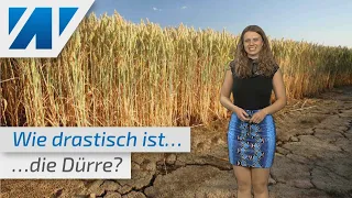 Dürre 3.0: Wie trocken ist es wirklich? Wetterexpertin Adrienne Jeske klärt auf!