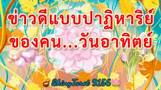 วันอาทิตย์🕊ข่าวดีแบบปาฏิหาริย์ที่กำลังจะเกิดขึ้นกับคุณภายใน 3 เดือน🪷               🪔@ShinyTarot9156