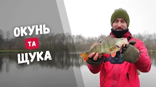 ЗИМОВИЙ ЖОР щуки і окуня. Класна РИБАЛКА НА ДЖИГ зимою. Великий ОКУНЬ та ЩУКА на силікон KEITECH