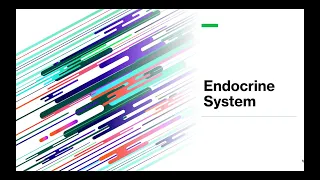 The Endocrine System - Summary