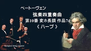 ベートーヴェン 弦楽四重奏曲 第10番 変ホ長調 作品74 ≪ハープ≫ Beethoven string quartet No.10 〈Harp〉