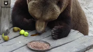 Барин Мансур изволит завтракать🐻🍐🍇🍯