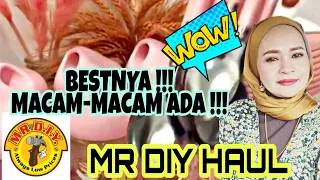 Mr Diy Haul | Bestnya Macam-Macam Ada !!!