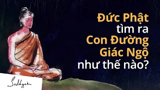 Đức Phật Tìm Ra Con Đường Giác Ngộ Như Thế Nào?