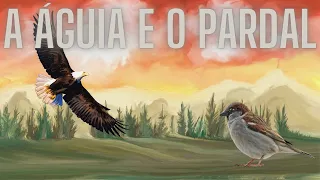 A ÁGUIA E O PARDAL|Uma História de Verdadeira Grandeza. Motivação Diária (Mensagens e Contos)